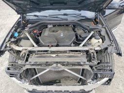 
BMW X3 SDRIVE30I, 2019 (2018) full									