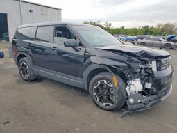 
HYUNDAI SANTA FE SE, 2025 full									
