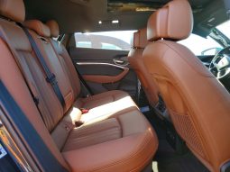 
AUDI Q8 E-TRON PREMIUM PLUS, 2024 (2023) full									