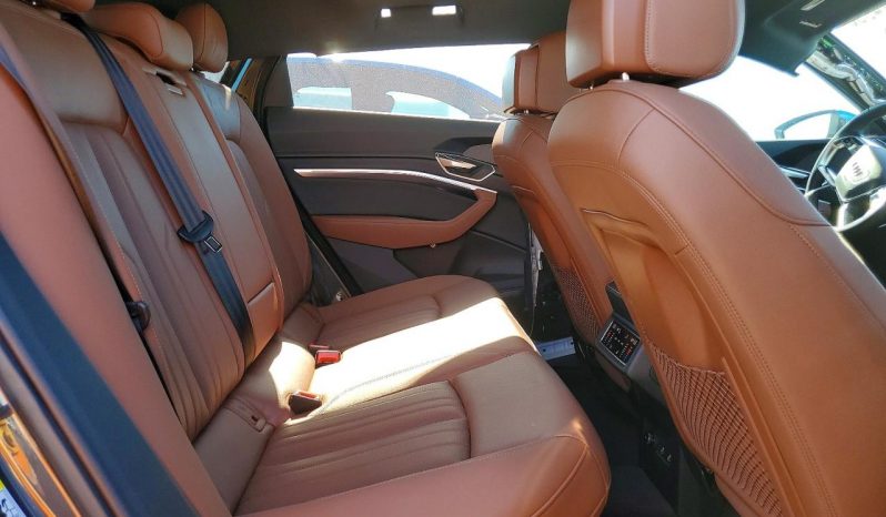 
AUDI Q8 E-TRON PREMIUM PLUS, 2024 (2023) full									