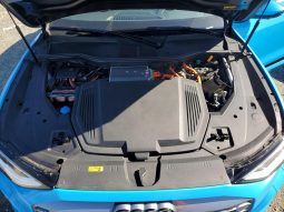 
AUDI Q8 E-TRON PREMIUM PLUS, 2024 (2023) full									