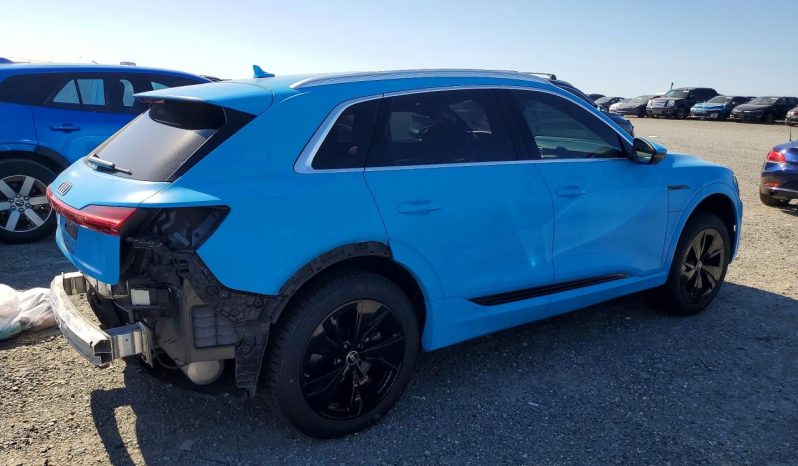 
AUDI Q8 E-TRON PREMIUM PLUS, 2024 (2023) full									