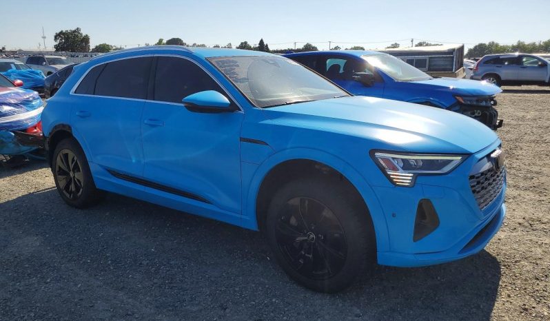 
AUDI Q8 E-TRON PREMIUM PLUS, 2024 (2023) full									