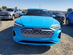
AUDI Q8 E-TRON PREMIUM PLUS, 2024 (2023) full									