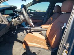 
AUDI Q8 E-TRON PREMIUM PLUS, 2024 (2023) full									