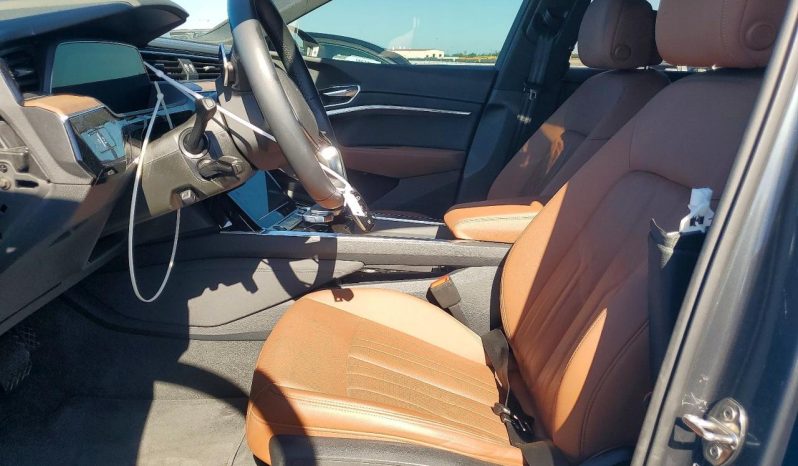 
AUDI Q8 E-TRON PREMIUM PLUS, 2024 (2023) full									