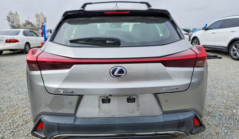 
LEXUS UX 250H, 2020 (2019) full									