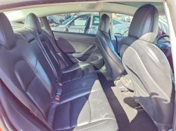 
TESLA MODEL 3 LR DM, 2021 (2020) full									