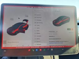 
TESLA MODEL 3 LR DM, 2021 (2020) full									