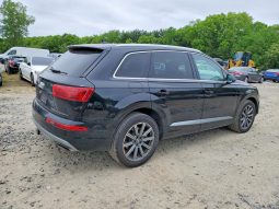 
AUDI Q7 PREMIUM PLUS, 2019 (2018) full									