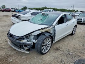 TESLA MODEL 3 LR DM, 2020 (2019)