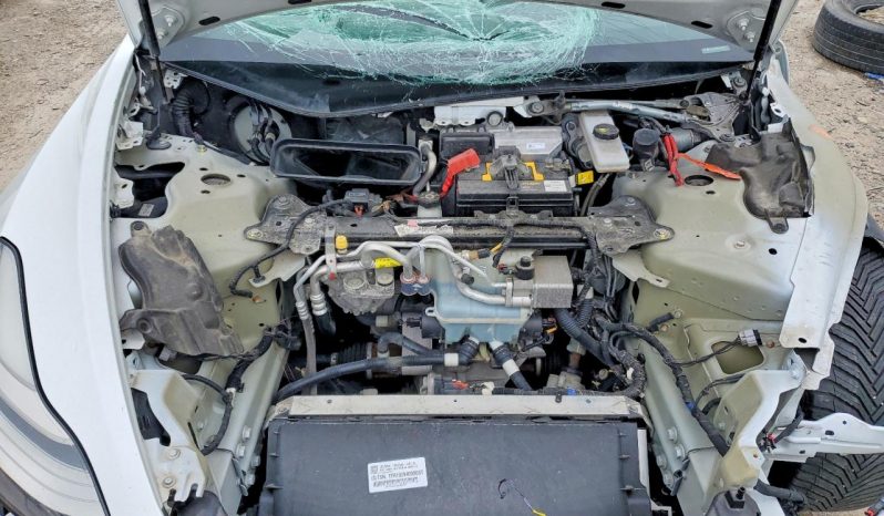 
TESLA MODEL 3 LR DM, 2020 (2019) full									