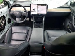 
TESLA MODEL 3 LR DM, 2020 (2019) full									