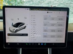 
TESLA MODEL 3 LR DM, 2020 (2019) full									