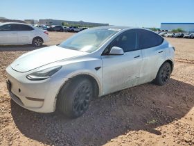 TESLA MODEL Y LR DM, 2020