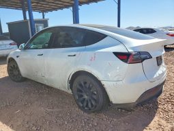 
TESLA MODEL Y LR DM, 2020 full									