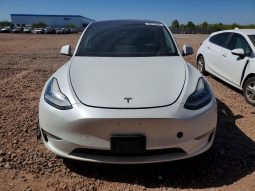 
TESLA MODEL Y LR DM, 2020 full									