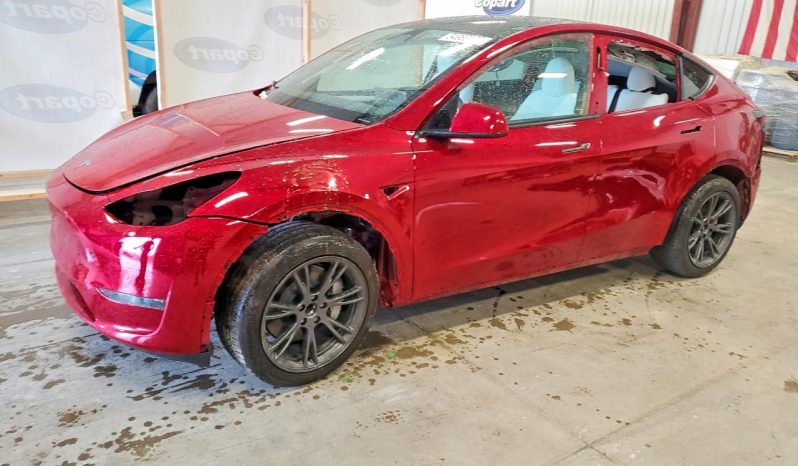 
TESLA MODEL Y LR RWD, 2025 (2024) full									