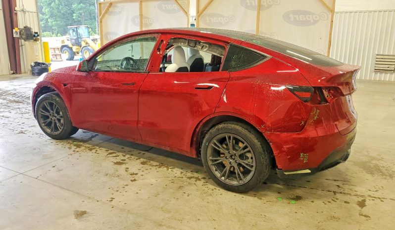 
TESLA MODEL Y LR RWD, 2025 (2024) full									