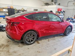 
TESLA MODEL Y LR RWD, 2025 (2024) full									