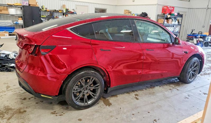 
TESLA MODEL Y LR RWD, 2025 (2024) full									
