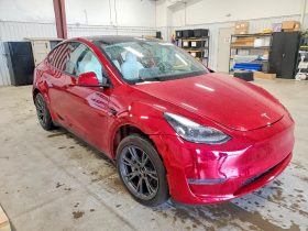TESLA MODEL Y LR RWD, 2025 (2024)