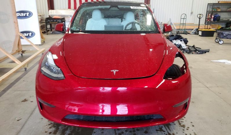 
TESLA MODEL Y LR RWD, 2025 (2024) full									