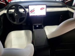 
TESLA MODEL Y LR RWD, 2025 (2024) full									