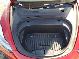 
TESLA MODEL 3 LR DM, 2021 (2020) full									