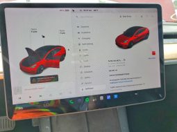 
TESLA MODEL 3 LR DM, 2021 (2020) full									