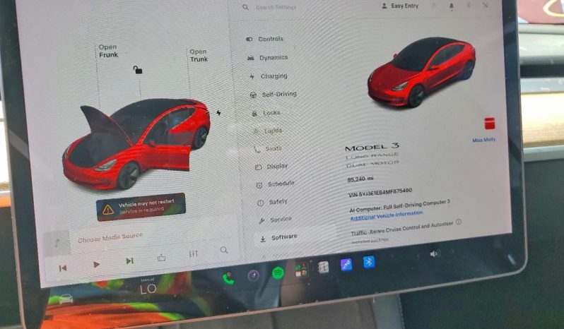 
TESLA MODEL 3 LR DM, 2021 (2020) full									