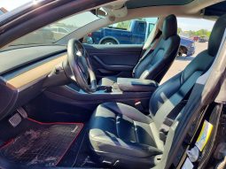 
TESLA MODEL 3 LR DM, 2019 full									