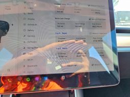 
TESLA MODEL 3 LR DM, 2019 full									