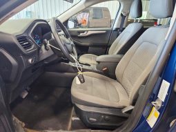 
FORD ESCAPE SE, 2020 full									