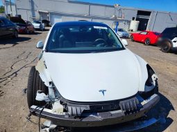 
TESLA MODEL 3 RWD, 2023 (2022) full									