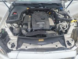 
MERCEDES-BENZ E 300 4MATIC, 2017 (2016) full									