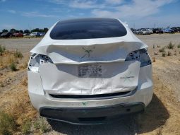 
TESLA MODEL Y LR DM, 2023 full									