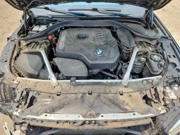 
BMW 530 XI, 2021 (2020) full									