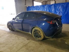 TESLA MODEL Y LR DM, 2021 (2020)