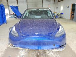 
TESLA MODEL Y LR DM, 2021 (2020) full									