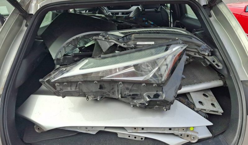 
LEXUS UX 250H, 2020 (2019) full									