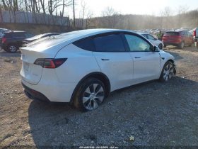 TESLA MODEL Y LR DM, 2020