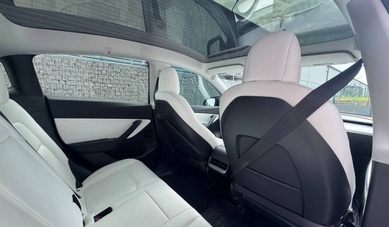 
TESLA MODEL Y LR DM, 2020 full									
