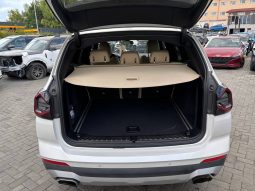 
BMW X3 SDRIVE30I, 2022 (2021) full									