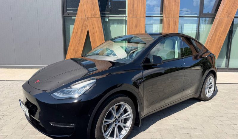 
TESLA MODEL Y LR DM, 2021 full									