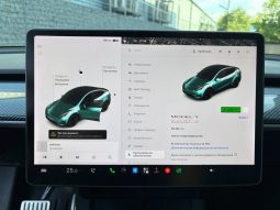 
TESLA MODEL Y PERFORMANCE, 2021 full									