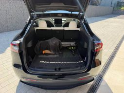 
TESLA MODEL Y LR DM, 2021 full									