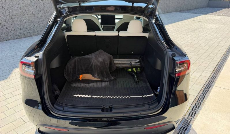 
TESLA MODEL Y LR DM, 2021 full									