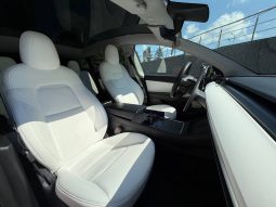 
TESLA MODEL Y LR DM, 2021 full									