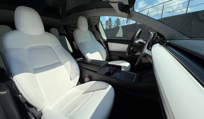 
TESLA MODEL Y LR DM, 2021 full									